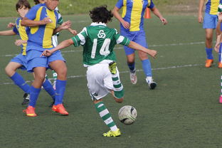 B体育培训-昂热队门将神勇，助球队逆转取胜